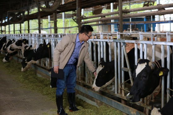广州香满楼牛奶，首家使用新鲜屋的乳品企业