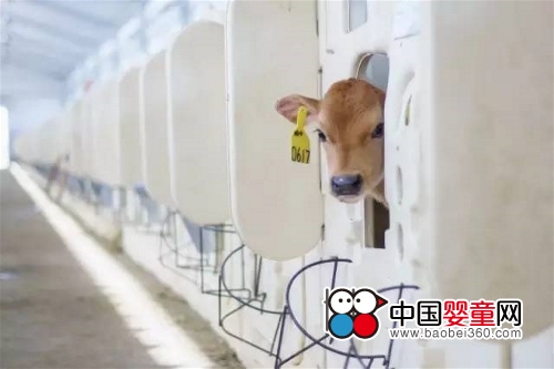 ţƷʱ ȫ缶ҵƷҵ